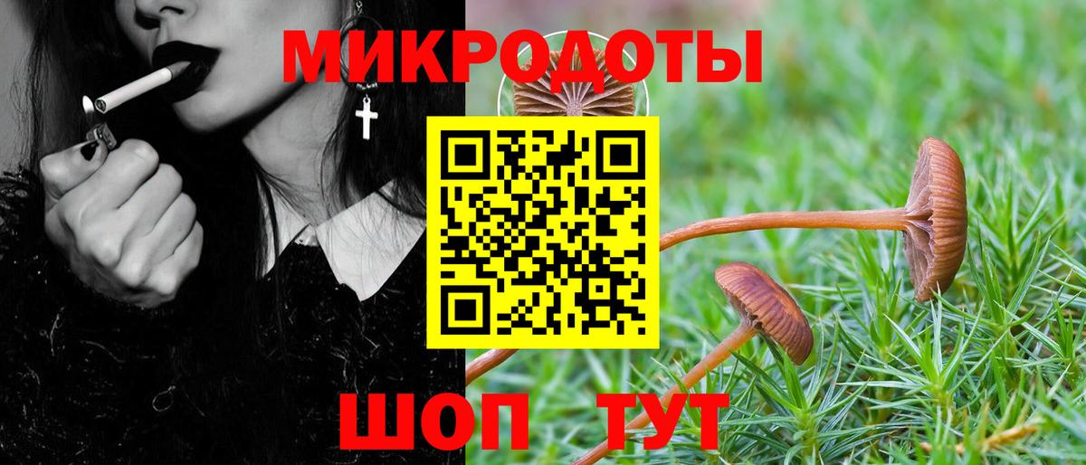Ивантеевка  Галлюциногенные грибы Psilocybe  Вход с VPN 