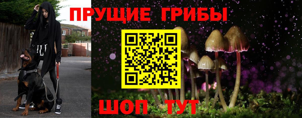 Псилоцибиновые грибы GOLDEN TEACHER Ивантеевка